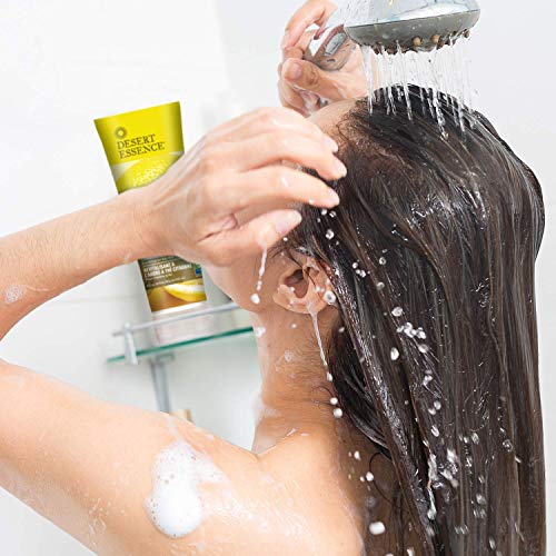 Desert Essence Lemon Tea Tree Shampoo & Conditioner Bundle - 8 Fl Ounce - Clarifying For Oily Hair - Essential Oils - Strengthen & Protect Hair - Effective Cleansing #TOP7