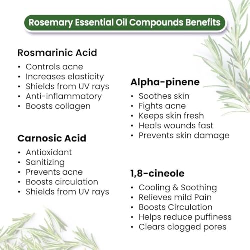 Image of KEYA SETH AROMATHERAPY Rosemary Body Oil - Stress Relieving, Anti-Ageing & Soothing For Glowing Skin; Non-Sticky, Quick-Absorbing 400ml