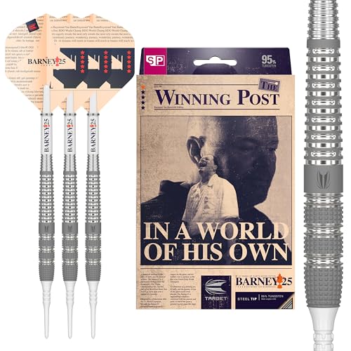 Fléchettes pointe souple Target Darts RVB 25 Year Edition 95% tungstène pour cible électronique