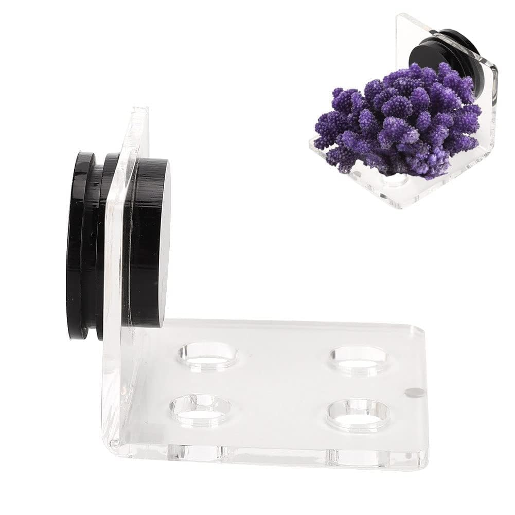 Coral Frag Rack Acrilico Magnetico Trasparente per Acquario Supporto
