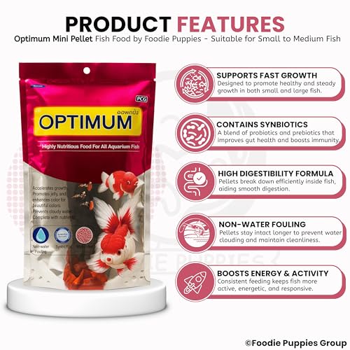 Image of Foodie Puppies Optimum Fish Food - 200gm (Mini Pellet) | Highly Digestible & Added with Fish Meal & Corn Protein Meal | Highly Nutritious Fish Food for All Aquarium Fish with Free Key Ring
