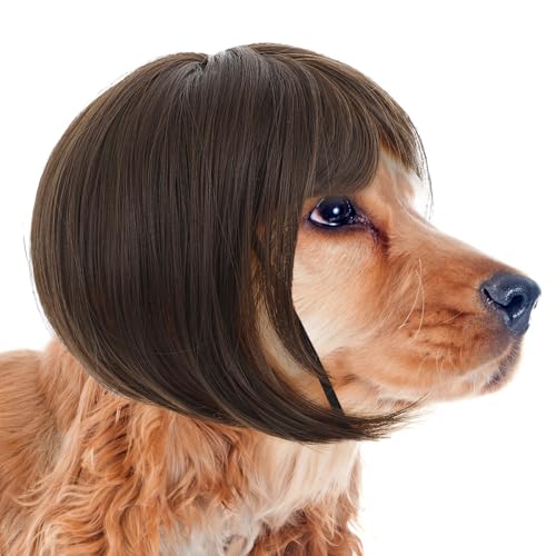 Molain 1 Stück Haustier Perücken mit verstellbaren Riemen, Lustige Hunde Katzen Cosplay Perücke Hundekostüm Weihnachten Perücken Band für Kleine Mittelgroße Hunde Perücken Weihnachten Dekorationen