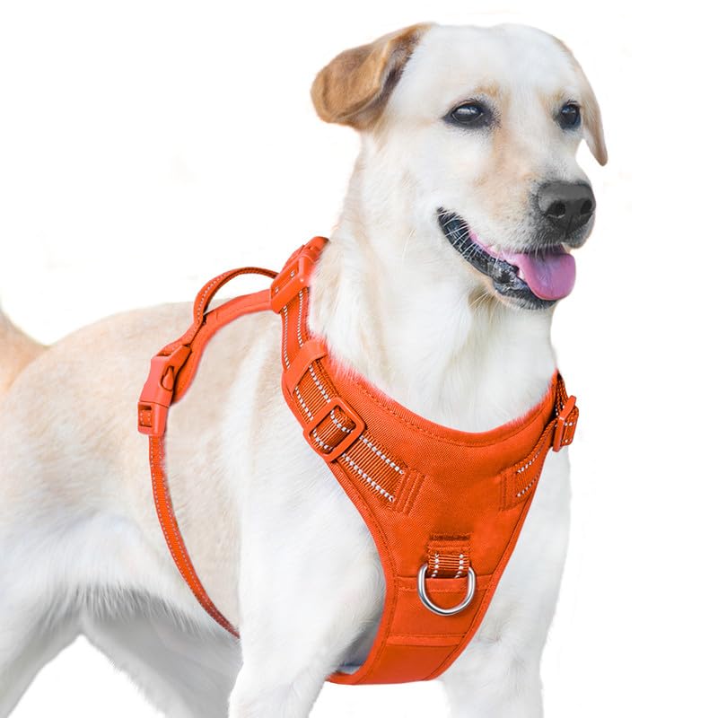 Sunraymascota Dog Harness Medium Oxford Fabric No Pull Dog Harness,4 Adjustable Points for Easy Fit,Soft Breathable,2 Leash Attachments for Training and Walking,Fits Small Medium Large Dogs(Orange,M)