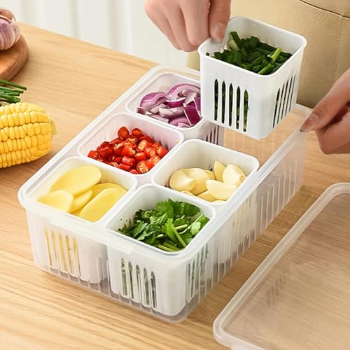 Image of RAYMOX Fridge Storage Boxes Freezer Storage Containers, Container for Kitchen Storage Set, Storage in Kitchen, Vegetable Storage, Draining Crisper Refrigerator Food Box