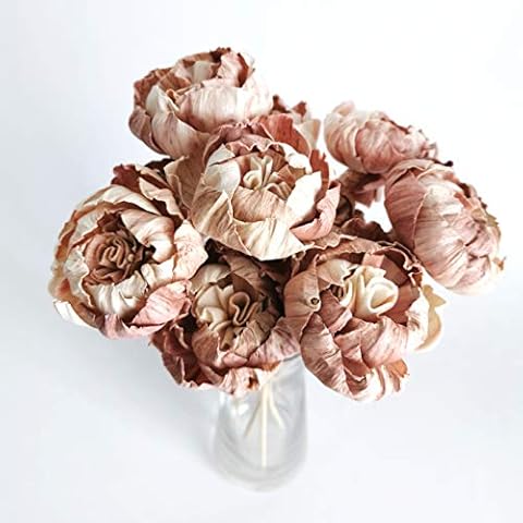 10 Rare Wood Color Peony 2" Sola Flower Reed Diffuser Replacement for Home Fragrance Oil by Plawanature Cover