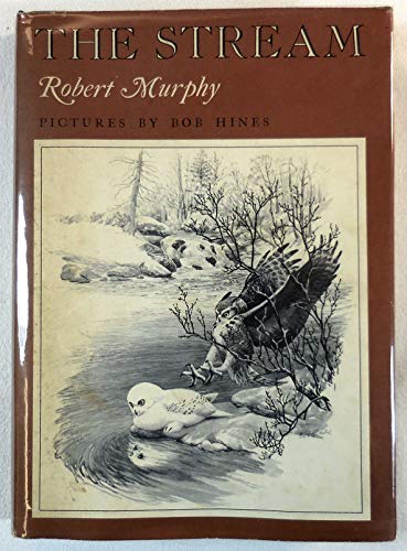 The Stream 0374270929 Book Cover