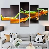 SIGNWIN 5 Panel Canvas Wall Art Amphibians Closeup Decorative Elements Frog Hallway Impressionism Multicolor for Home Decorations Ready to Hang - 60