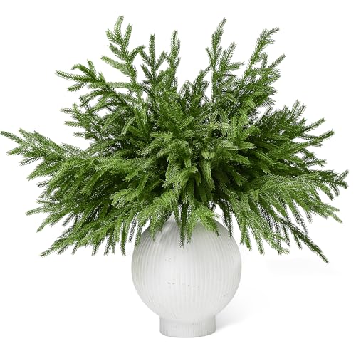 WeGuard 16 Pcs Real Touch Artificial Norfolk Pine Branches, 18 Inches Faux Norfolk Pine Stems Fake Christmas Greenery Picks for Vase DIY Garland Wreath Christmas Decorations Indoor Outdoor