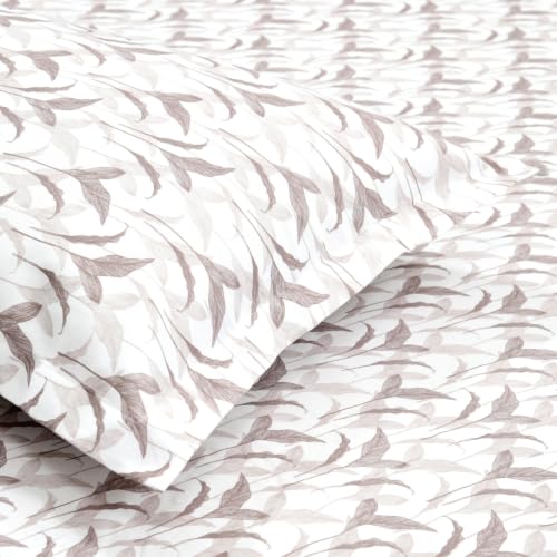 Image of Haus & Kinder Double Bed Bedsheet for Queen Size Bed with 2 Pillow Covers 90 Inch x 100 Inch | Premium Soft & Silky Pure Cotton 300 TC Flat Double Bedsheet | Velvet Canopy Brown