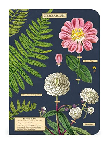 Mini Bloc-Notes Cavallini Herbier assortiment de 3 carnets premium aux finitions d'archives - 4