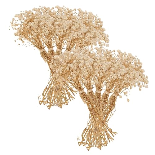 Ramilletes secos de flores de gypsophila para decoración miniatura 1