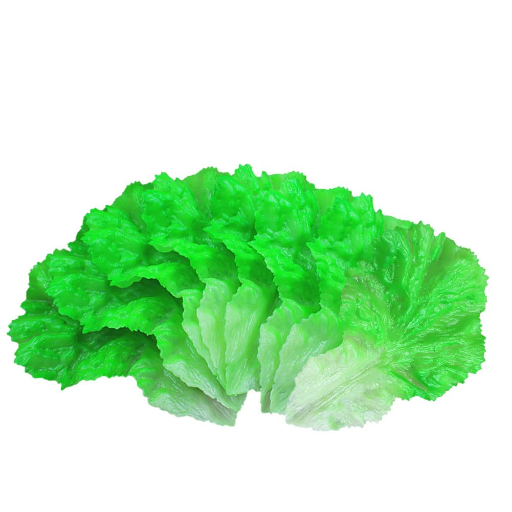 FEUILLES DE LAITUE De Simulation Réaliste Pour La Photographie Et Les, image size:1001x1001