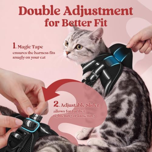 Image of rabbitgoo Cat Harness and Leash Set, Step-in Soft Vest, Black | Escape Proof, Lightweight, Easy-on & Adjustable, Hook & Loop with Buckle, Reflective, for Kittens & Small Cats Walks, S