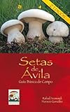 Setas de Ávila