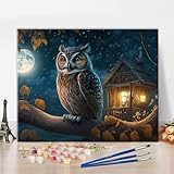 Rebotipy Painting by Numbers Kit for Adults,DIY Owl at Night on a Branch Paint by Numbers for Beginner,Moon House Lanterns Arts Crafts Oil Painting for Home Decor 16x20 Inch