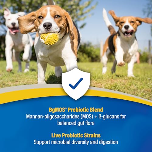 Doc Roy’s GI Synbiotics Probiotic & Prebiotic Supplemental Gel for Dogs & Cats, Digestive & Immune Health Supplement with Live Cultures, BgMOS & Beta Glucans, Chicken Flavor, 30ml Oral Gel - Thumbnail 4