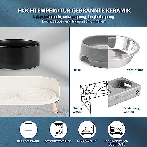 Katzen Napfset Katzennapf Erhöht Keramik - Doppelt Katzennäpfe mit Rutschfestem Ständer und Spritzschutz - Fressnapf Katze Napf - Futternapf Wassernapf Set für Katzen Welpen Kleine Hunde - 2 x 480 ML