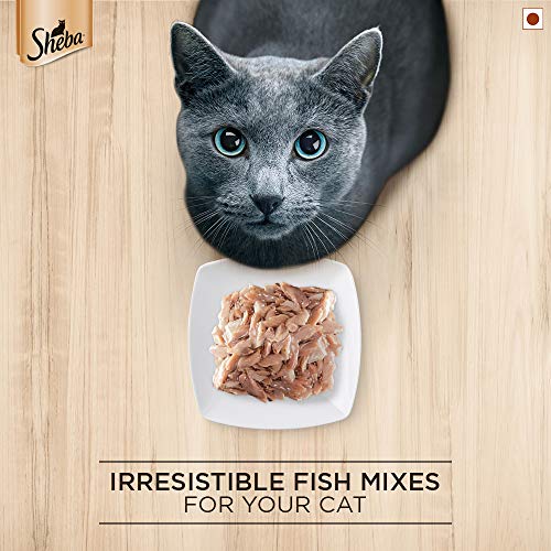 Sheba-Premium-Wet-Food-for-Adult-Cats-Fish-Sasami-Flavour-12-Pouches-12-x-35g