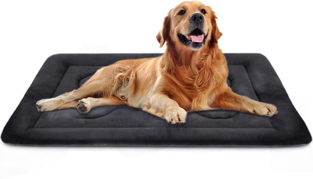 large crate dog bed