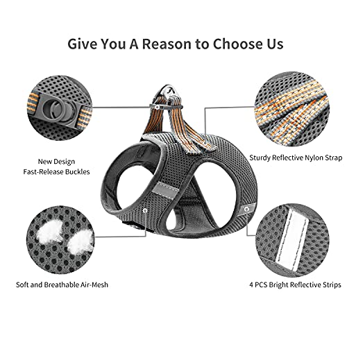 Balaynor Cat Harness And Leash For Walking Escape Proof, Adjustable Soft Grey Xxs Chest: 9 - 11Inch #TOP2