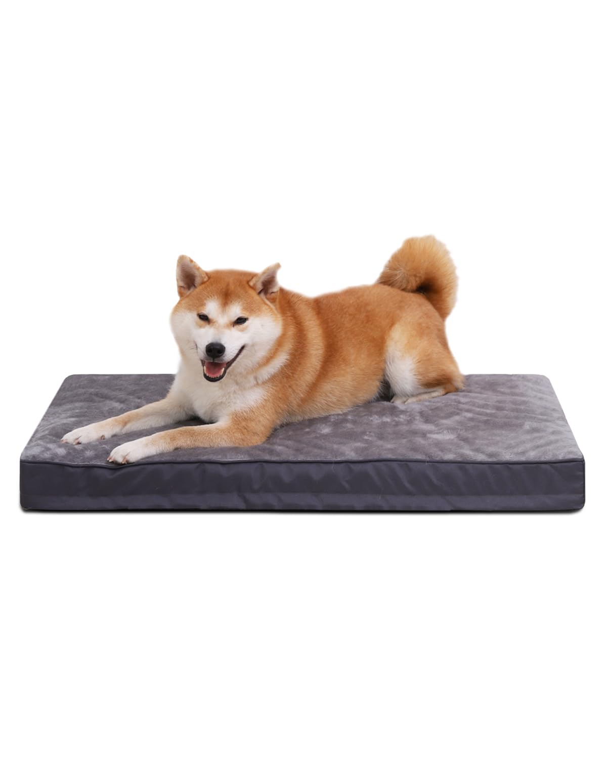 Amazon | KSIIA シニア犬 ベッド 高反発 体圧分散 犬 ベッド 洗える 犬