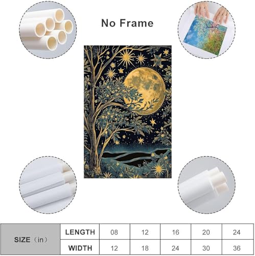 Affiche murale toile pleine lune tableau sans cadre 16x24 - 2