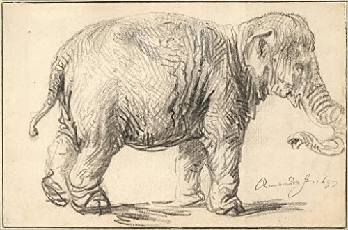 Tableau un éléphant Rembrandt 60x90cm : la solution pour sublimer un mur blanc de chambre