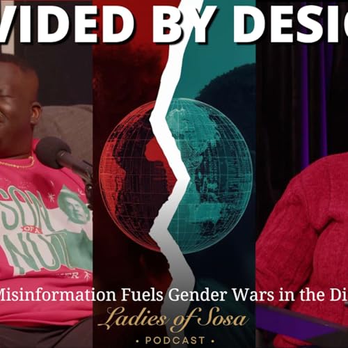Divided by Design: How Misinformation Fuels Gender Wars in the Diaspora cover art