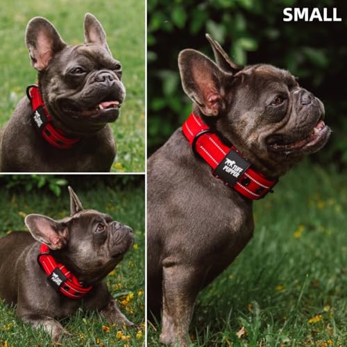 Image of Tuff Pupper Heavy Duty Tactical Dog Collar | 1.25 inch Wide Ballistic Nylon | Reflective Stitching | Integrated ID Tag Holder | Stainless Steel Buckle | Padded Lining | Small & Medium Dogs (Red, Small)