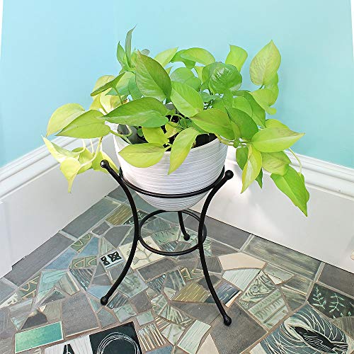 Achla Designs Gbs-20 Multi-Use, Small Wrought Iron Metal Plant Birdbath Bowl Stand Flowerpot Holder, 8", Black #TOP6