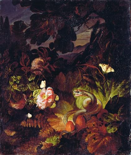 Tableaux mural sur toile fleurs serpent insectes Otto Marseus Van Schrieck