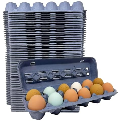 Blue Paper Pulp Egg Cartons - 50 Pack Cover