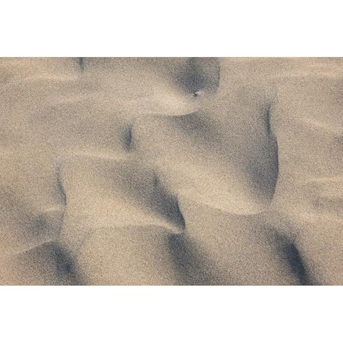 Sigma 28-105 mm F2.8 DG DN para L-Mount - imagen 10