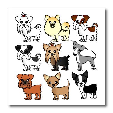 3dRose Janna Salak Designs Dogs - Cute Toy Breed Dogs - 8x8 Iron on Heat Transfer for White Material (ht_12099_1)