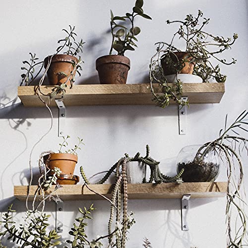 Cobra Grey Triple Grip Universal-Wandanker für Gipskarton, 6 mm, 27 kg Traglast, 40 Stück