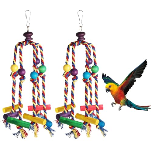 Heclia ̂ IEROX Jtȃ[v ̂ IJCRpC^NeBuޓoR  P[WptbNty݂艺fUC ދa炰s𑣂܂