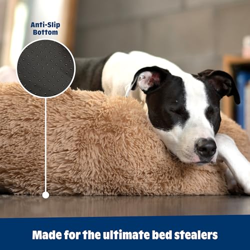 Barkbox Dog Bed, 2-in-1 Memory Foam Donut Cuddler Dog and Cat Bed, Calming Orthopedic Joint Relief Fur Crate Lounger for Pets, Machine Washable + Removable Cover, Waterproof Lining, Includes Toy - Image 6