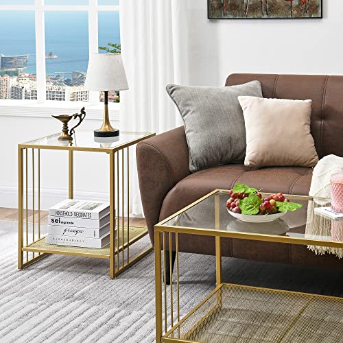 N/D Golden End Table With Tempered Glass Top, Square Side 2-Tire Storage, Classic Accent Metal Frame, Telephone For Living Room, Nightstand, Easy Assembly Gold Fbz21404Gd #TOP6
