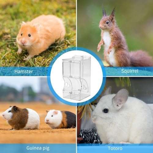 Comedero Automático Transparente para Hámster, Ardillas, Cobayas, Erizos, Pájaros y Mini Erizos, Dispensador de Alimentos para Mascotas, Ideal para Viajes y Varios Animales Domésticos