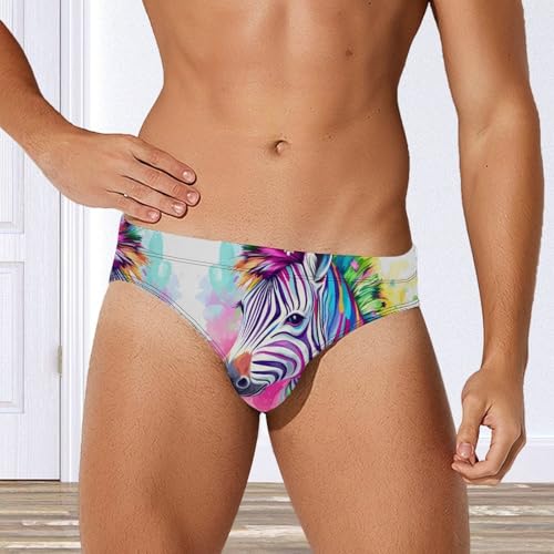 Colorful Zebraes Men's Swim Trunks Briefs Swimsuit Swimwear Bathing for Underwear Beach3