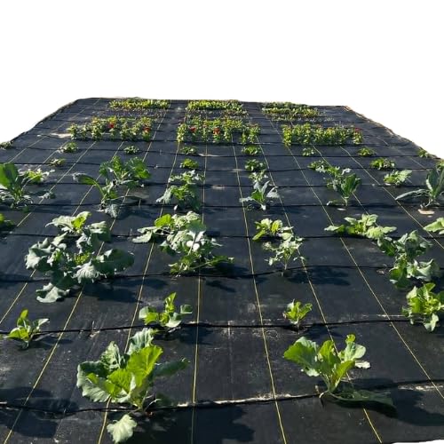 Hoss Lazy Garden Ground Cover 15' X 30'