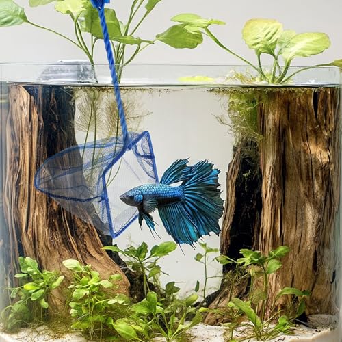 Image of Lpraer 4in 5in 6in Aquarium Fish Net Green Fine Mesh Nylon Net Collection with 11 inch Long Handle Square Quick Catch Fish Net for Fish Tank