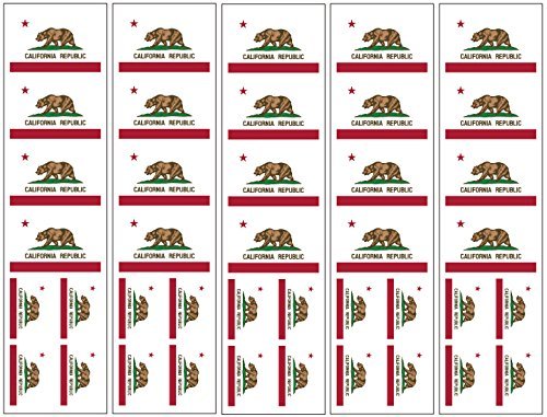 Amazon.com : 40 Tattoos: California Republic State Flag, Party Favors ...