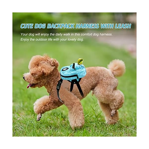 VEEVIIY Dog Backpack for Small Dogs - Outdoor Adventure Gear