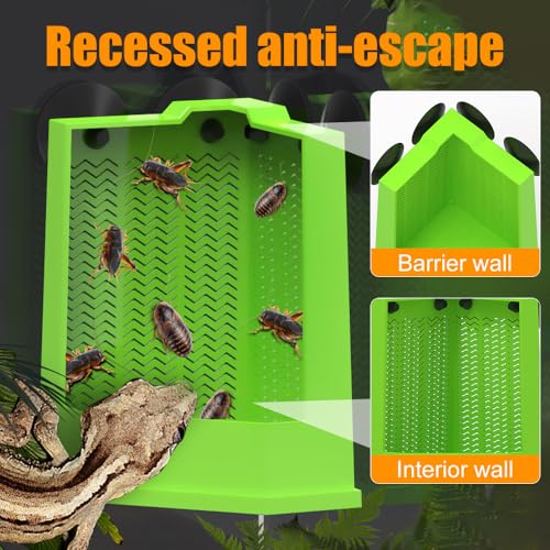 Mangeoire d'angle pour lézard et gecko pour optimiser le terrarium - 7