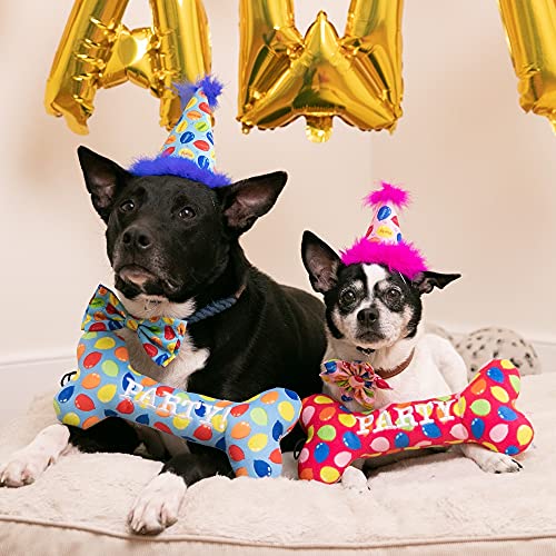 H&K Pet Party Hat | Blue Party Time (Large) | Birthday Hat For Dogs And Cats | Adjustable Strap For Comfort & Stability | Perfect For Birthday Party, Adoption Celebration Or Gotcha Day Photos #TOP5