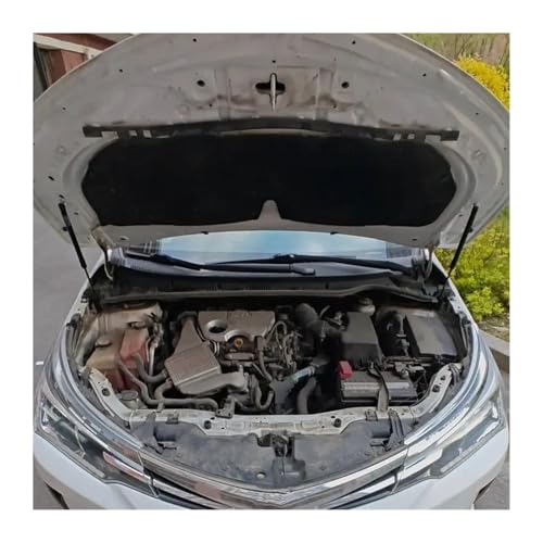 Supports levage capot pour Corolla 2013-2019 : résout le capot lourd