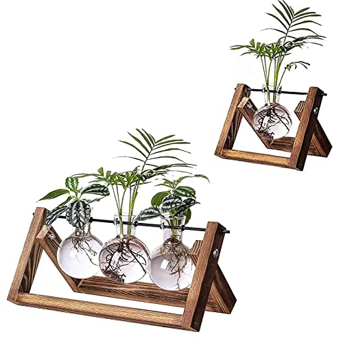 Kingbuy Glass Desktop Planter With Retro Wooden Stand Plant Propagation Station 2 Set #TOP6