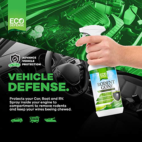 Eco Defense Mice Repellent - Natural Peppermint Oil Formula to Repel Mice, Rats, and Other Rodents - Humane Mouse Trap Alternative (16 oz)