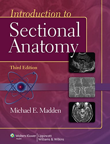 Introduction to Sectional Anatomy (Point (Lippincott Williams & Wilkins))
